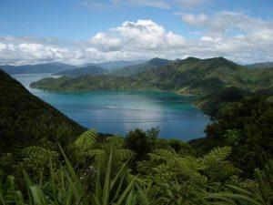 Queen Charlotte Track