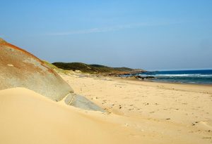 Wilderness Coast Hike